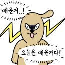 보배반점 상봉점 이미지