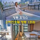 충무로하늘엔901호 | 명동 호캉스 스타즈 호텔 명동 1호점 테라스 와인 패키지