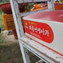 와룡농원 네이버블로그