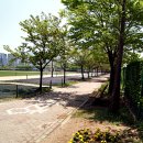 낙동강체육공원 축구장 Daum카페