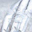 갈치농장 이미지