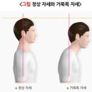 홍키통키 이미지