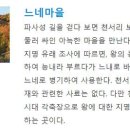 개네마을 이미지