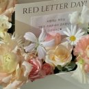 레드레터데이-REDLETTERDAY 이미지