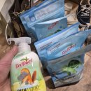 영지세탁 | [임신35주차] 코엑스 베페, 벚꽃 나들이, 빨래지옥