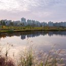 대복공인중개사사무소 이미지