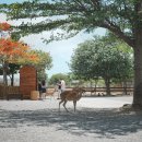 한종목장 이미지