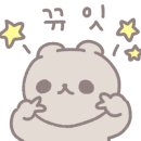 정디테일링