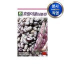 씨앗 이미지