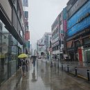 대구 동성로 성형외과 | 콤플렉스 극복기 내돈내산 이마 필러 후기