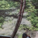 백패커스플래닛 이미지
