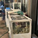 다모아포차 - 제천시 | 다모아포차