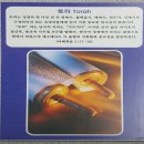 국제성서박물관 이미지