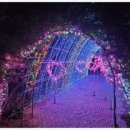 코코농원2 이미지