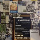 대구 종로 술집 ‘싸눅사운드’ 아는 사람만 아는 비밀 아지트
