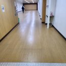 상호에버라인