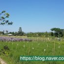 화원농장2 이미지
