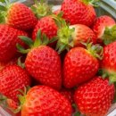 작소농장 이미지