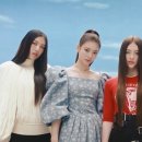 미야오 카카오 검색결과