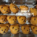 [북부] (주말)홈베이킹 | [베이킹] 초보 홈베이커의 LG광파오픈으로 만든 곰돌이 마들렌