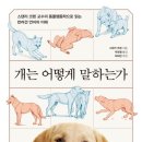 코렌 이미지