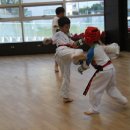 용인대 태권얍 이미지