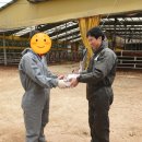 새내농장 이미지