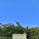 이유신피아노학원 이미지