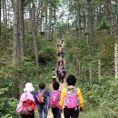 솔향기둥지 이미지