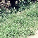 신길여인숙 이미지