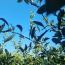 터닝포인트제주 이미지