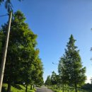 낙동강관리본부 맥도생태공원 5 | 러닝하기 좋은 장소로 추천하는 맥도생태공원