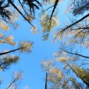 개포4-102 이미지