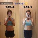 [공구]에버봄 하루비움 디톡스다이어트 후기/변비부종 복부 허벅지 살빼기/요요없는 단기간다이어트...