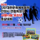 2016 대한문화체육회장배 & 안양시 연합회장기 사랑나눔 유소년 풋살 대회 (취미반) 이미지