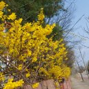 장자호수길 이미지