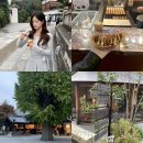 교토 4박5일 자유여행 코스 4,5일차 기요미즈데라 소우소우 타코야끼