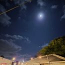 코코코게스트하우스 | 제주 고양이 게하 코코코 독채 다랑쉬 후기