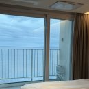 하프타임(강구점) | 영덕 호텔 파나크 소노 오션뷰 슈페리어 객실 수영장 상세리뷰 내돈내산