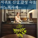 아노록사계 이미지