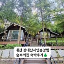 공간속의 높은 음자 | 대전 장태산자연휴양림 숲속의집 향나무집 성수기 숙박후기 | 19개월 아기와 함께