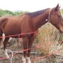 명신목장 이미지