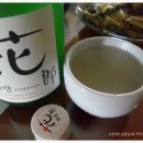 화랑돼지 이미지