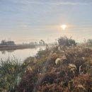 미류네 농장 이미지