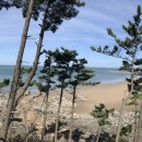 학암포 버스 종점 이미지