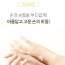 닥터손 이미지
