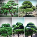 금파농장 이미지