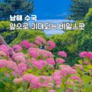남해-247 | 경남 남해 여행지 수국 명소 앵강공원