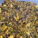 미나리 우리삼겹(영등포역점) 이미지