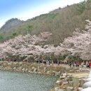 고추말공원 Daum카페